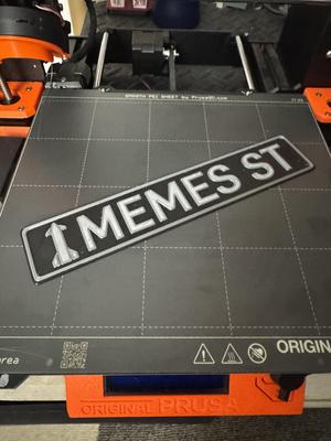 Space X Memes St Sign