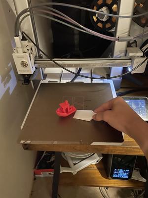 The Best Bed Scraper