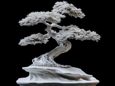 Elegant Bonsai Tree Sculpture