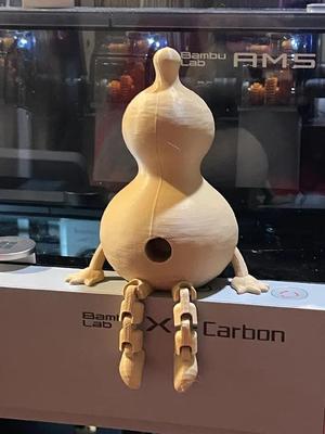 Friendly Articulated Gourd   