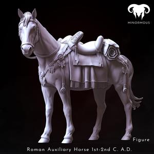 Horse - Roman Auxiliary Cavalryman 1st-2nd C. A.D. Auxilia Equestrians!