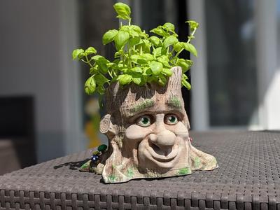 Cartoon Style Tree Face Planter