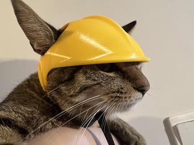CAT HELMET