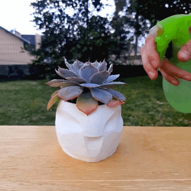 Alien Vase