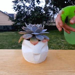 Alien Vase