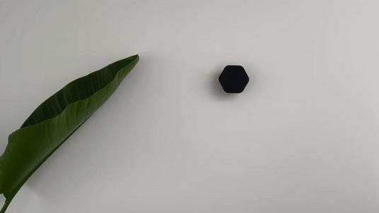 Rounded Hexagon Coat & Bag Hook