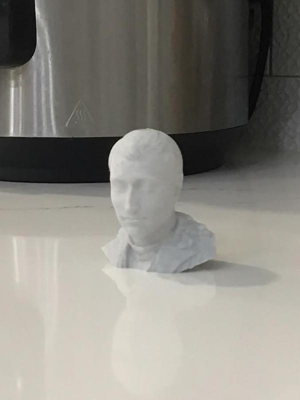 Napoleon Bonaparte Bust