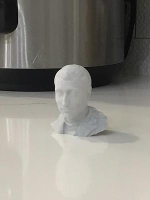 Napoleon Bonaparte Bust
