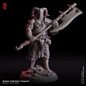 Rodrak, Drakebane Vanguard