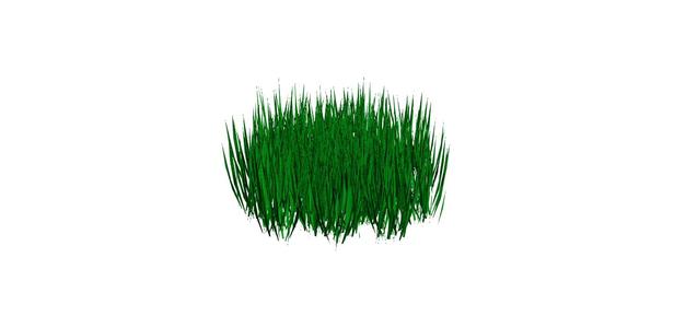 grass.fbx