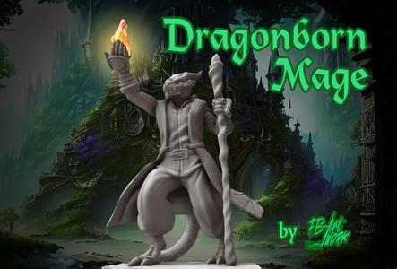 DnD Miniature Dragonborn Mage