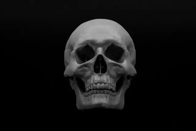 Human Skull