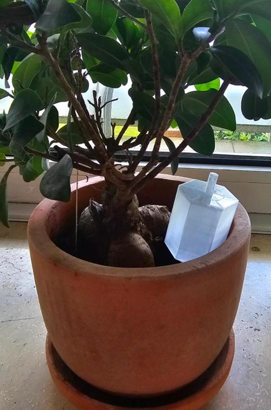 Self-watering pot with Lid