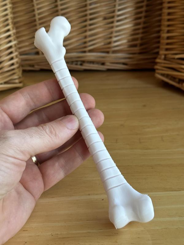 Fidget Femur