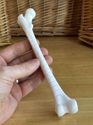 Fidget Femur