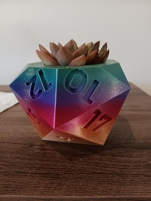 D 20 plant pot - 20 sided dice plant pot