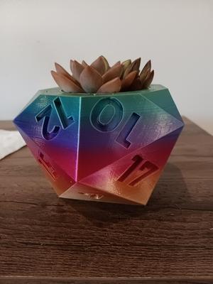 D 20 plant pot - 20 sided dice plant pot