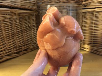 Anatomical Heart Puzzle