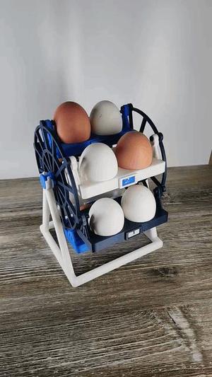 Ferris Wheel Egg Rack 12ct