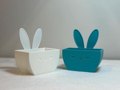 Easter bunny seed starter 