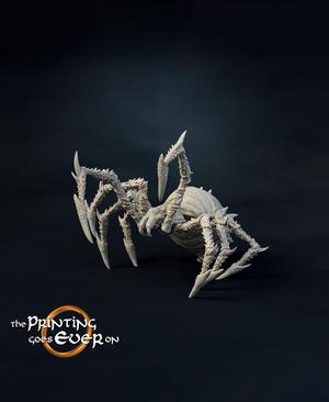 Chapter 22 - Complete Bundle