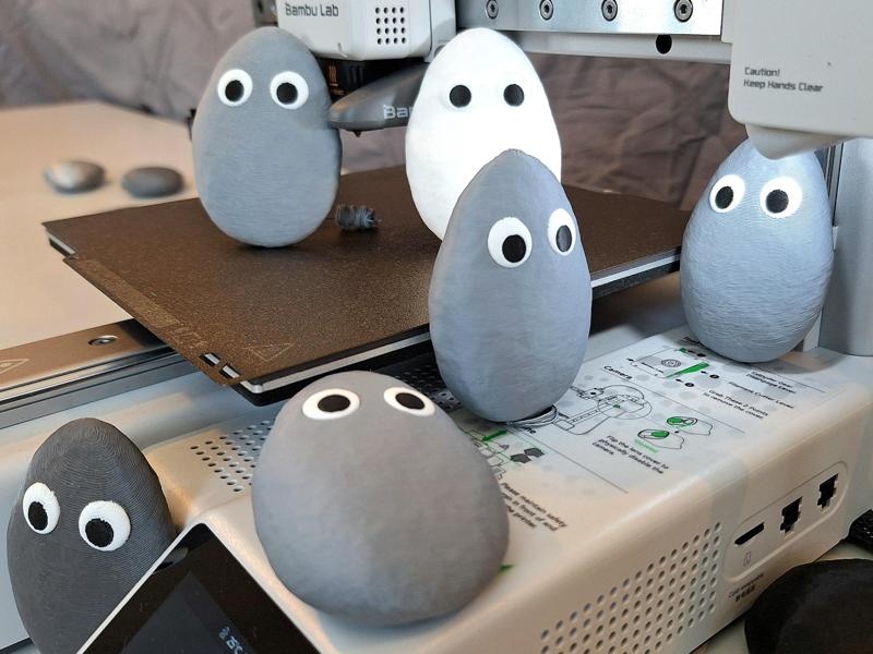 Pet Rock