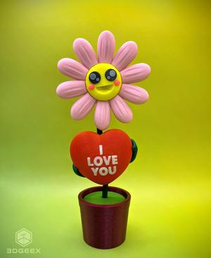 Valentine's Daisy