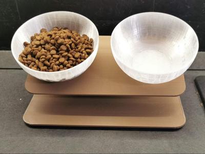 Cat Food Bowl