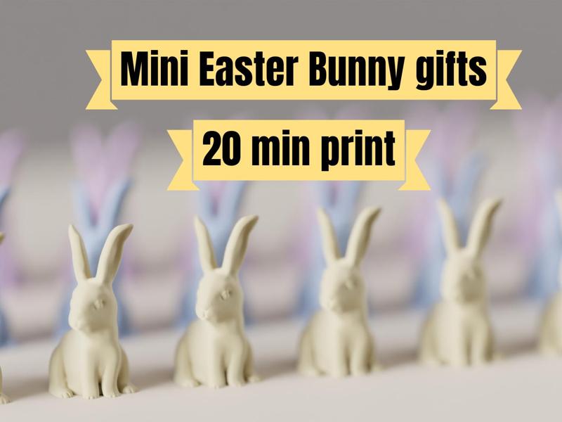 Easter Bunny rabbit. Quick Easter Gifts