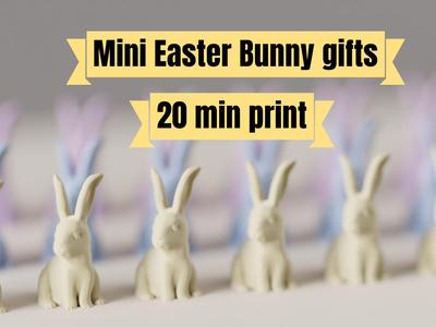 Easter Bunny rabbit. Quick Easter Gifts