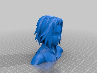 Sakura's bust