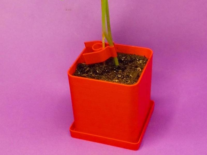 Larger Seeding Pot (8x8x8cm) - MiFa GrowSystem