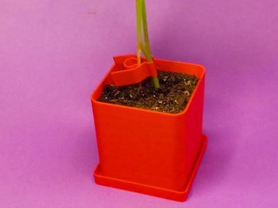 Larger Seeding Pot (8x8x8cm) - MiFa GrowSystem