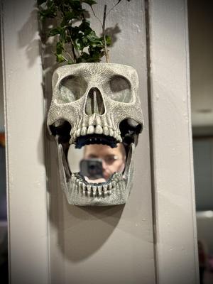 Skull wall planter and mirror