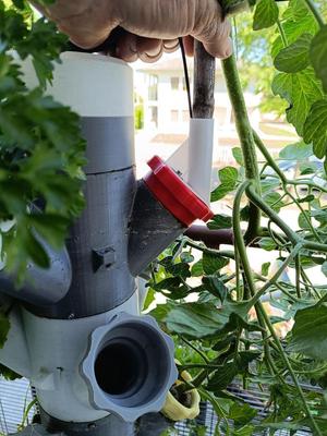 plant support rod support