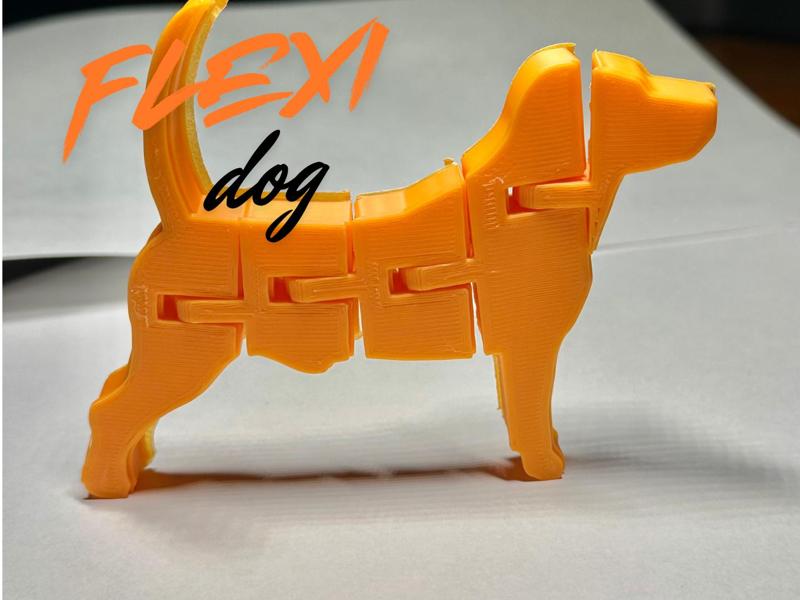 Flexi-Dog