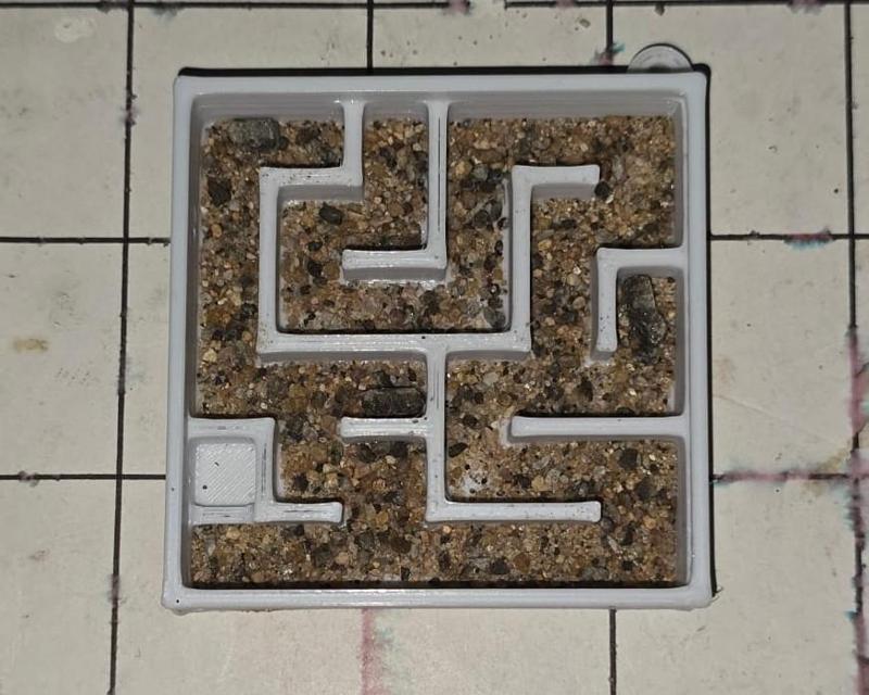 Ant Maze Insectarium