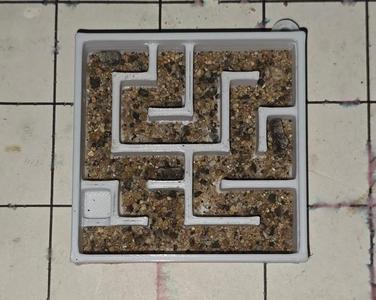 Ant Maze Insectarium
