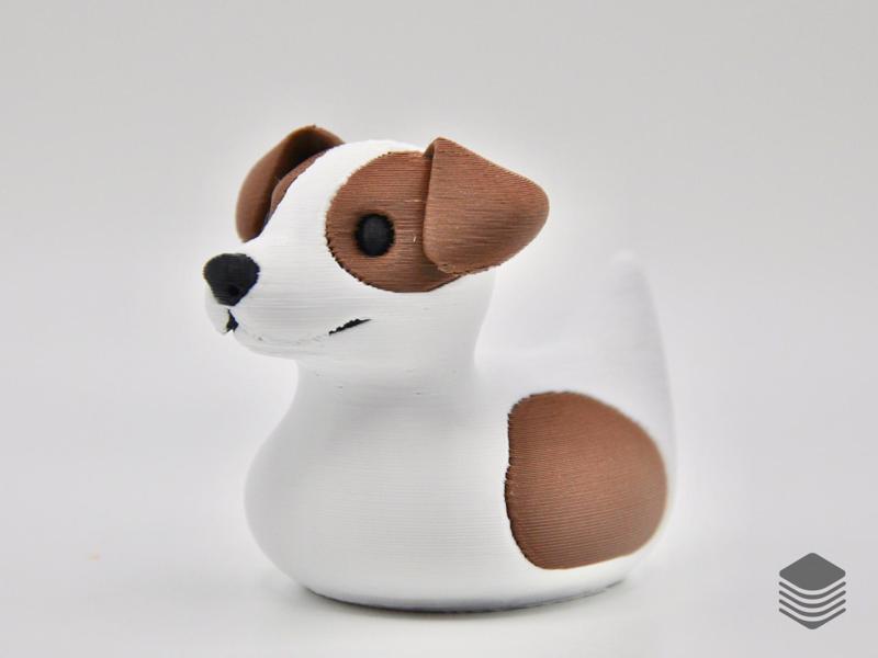 Jack Russell Terrier Duck
