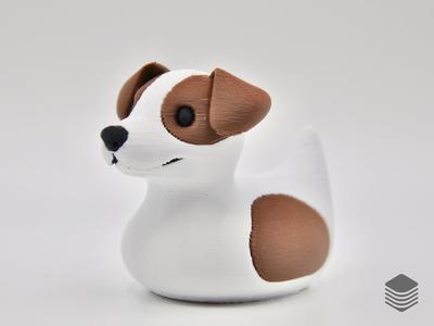 Jack Russell Terrier Duck