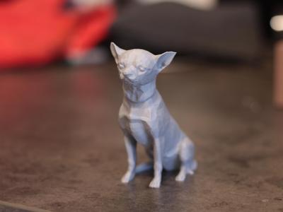 Chihuahua