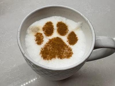 3 Pack Paw Latte Coffee Stencils