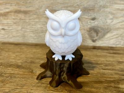 An Owl On A Tree Stump