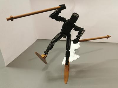 Skii and Skii pole for your dummy 13