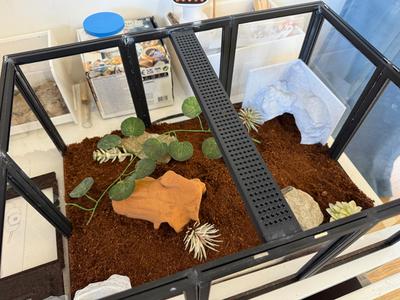 Terrarium 40x30x19cm for 18x13x1cm acrylic panels