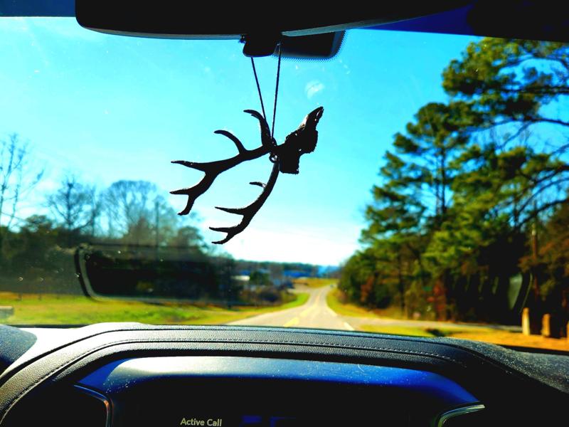 "Mini Elk" Skull Hang