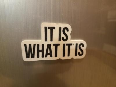 it is what it is Magnet