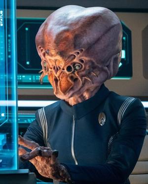 Osnullus Figure Head- Star Trek 