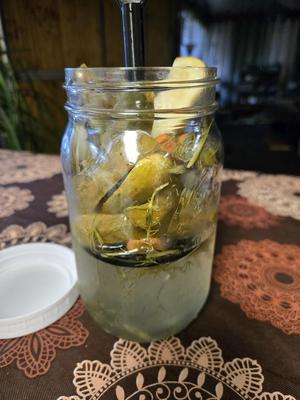 Pickle Elevator