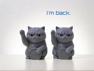 Lucky Cat / Little Fat Cat